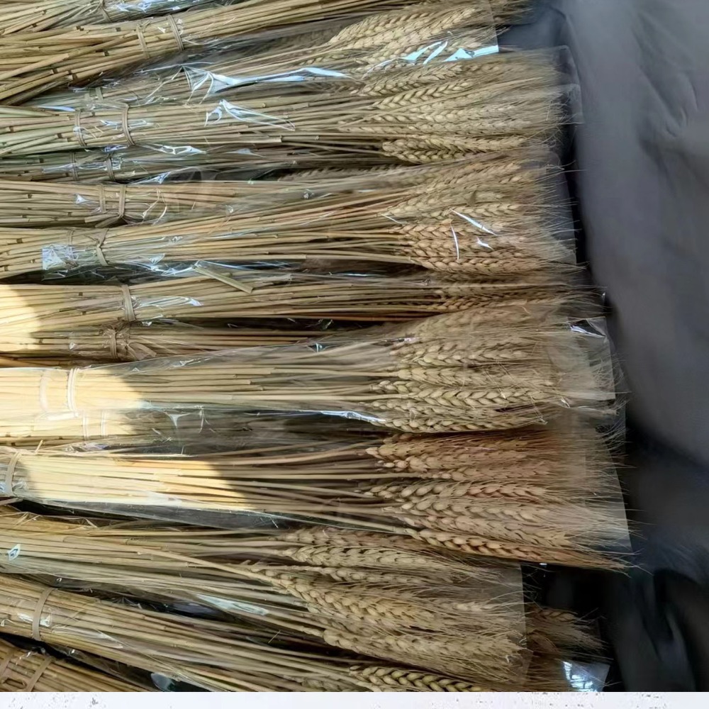 Dried Flower Bulk - 50 adet Yapay Çiçek Doğal Kurutulmuş