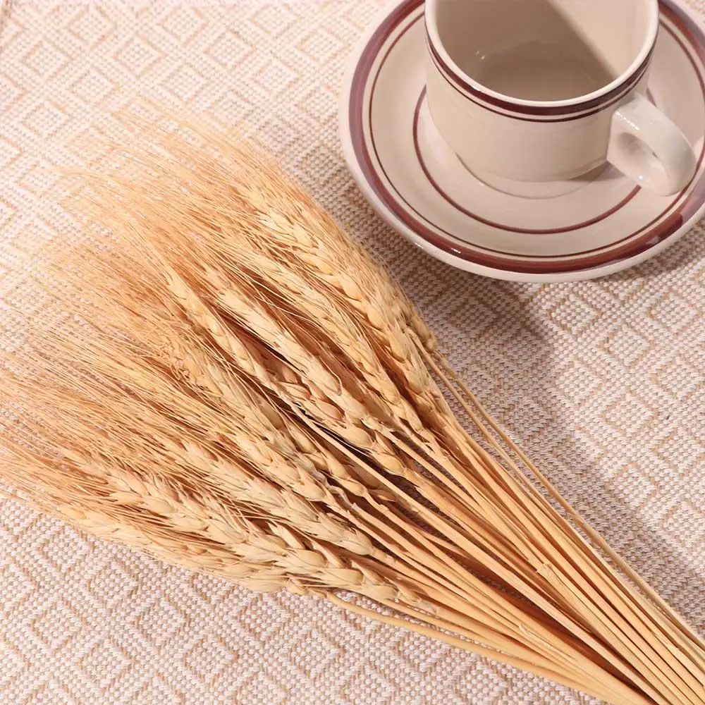 50 adet Yapay Çiçek Doğal Kuru - Dried Flower Bulk incelemesi ve fiyatı