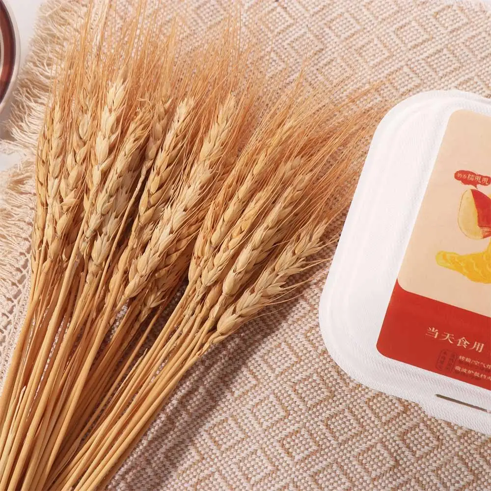 50 adet Yapay Çiçek Doğal Kuru - Dried Flower Bulk incelemesi ve fiyatı