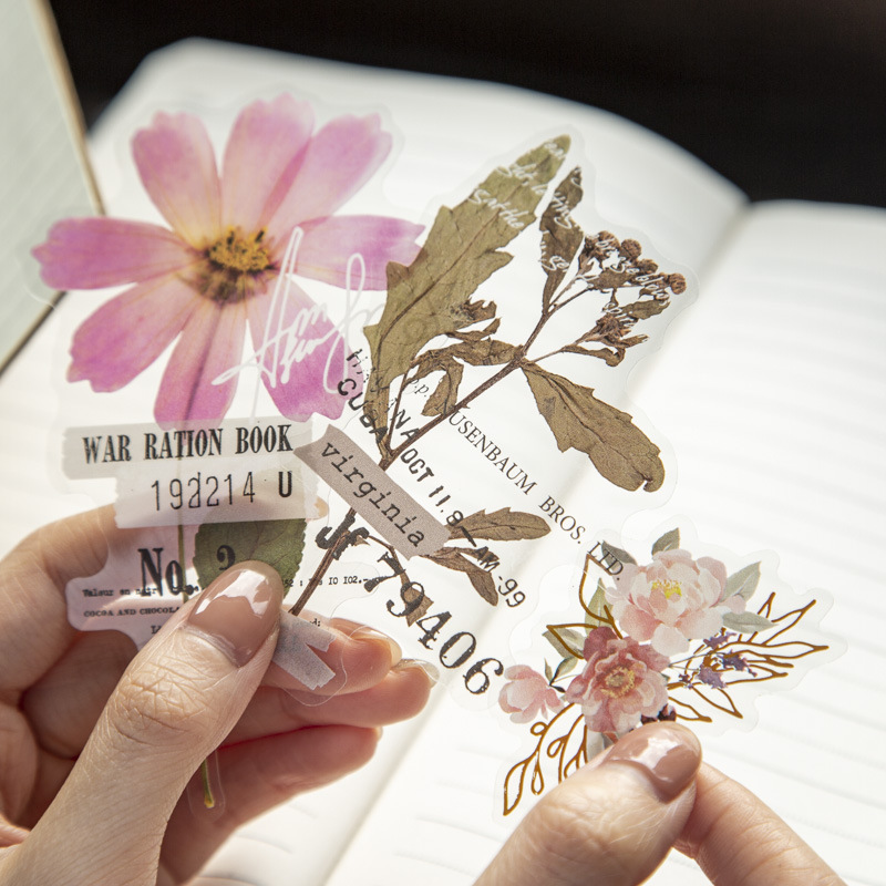 10 Adet/Paket Köşe Çiçek Evi S - Dried Flower Bulk incelemesi ve fiyatı