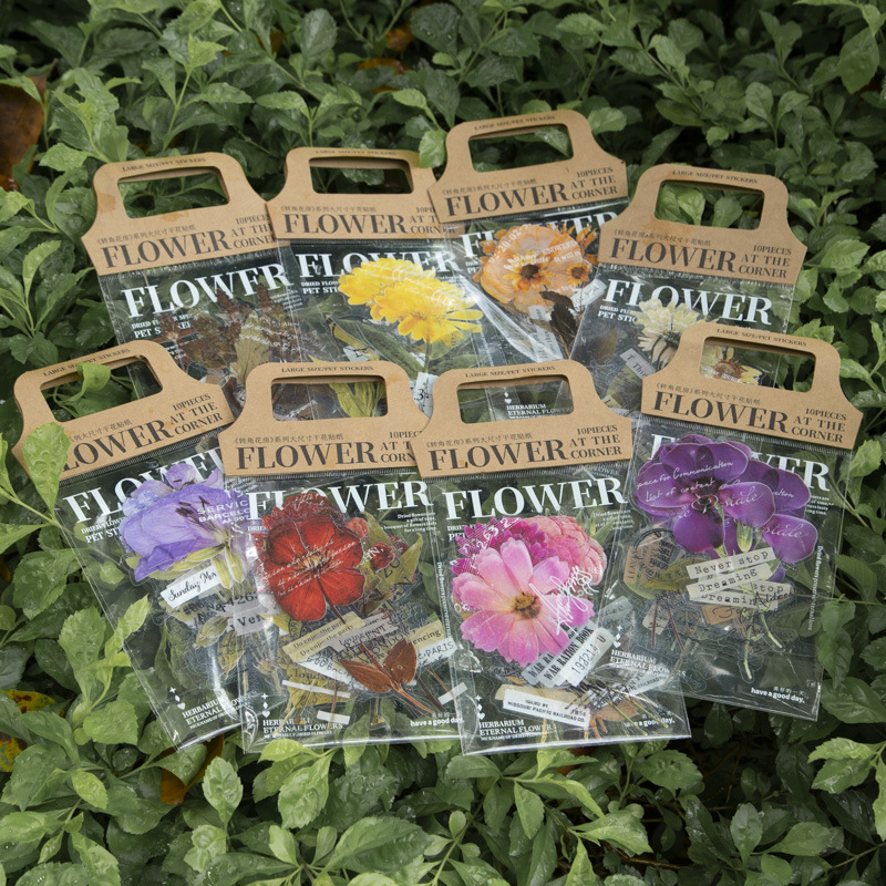 10 Adet/Paket Köşe Çiçek Evi S - Dried Flower Bulk incelemesi ve fiyatı