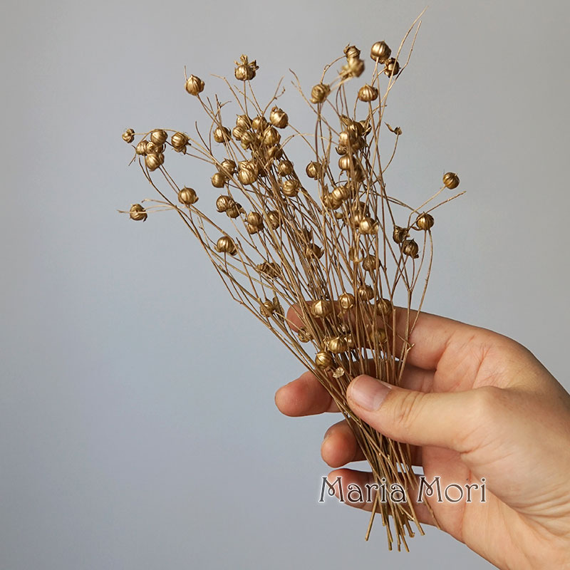 5g Korunmuş Keten Fasulye Doğa - Dried Flower Bulk incelemesi ve fiyatı