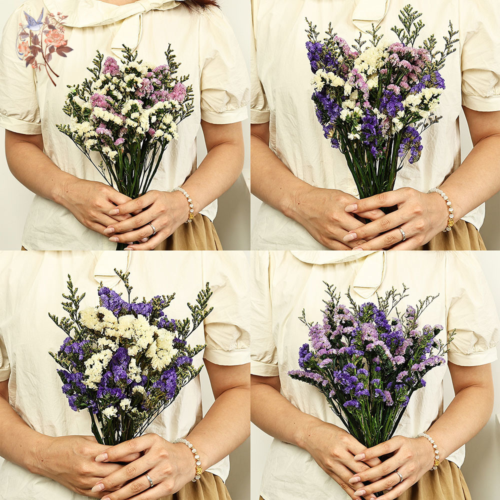 100g Doğal Gerçek Unutma beni  - Dried Flower Bulk incelemesi ve fiyatı